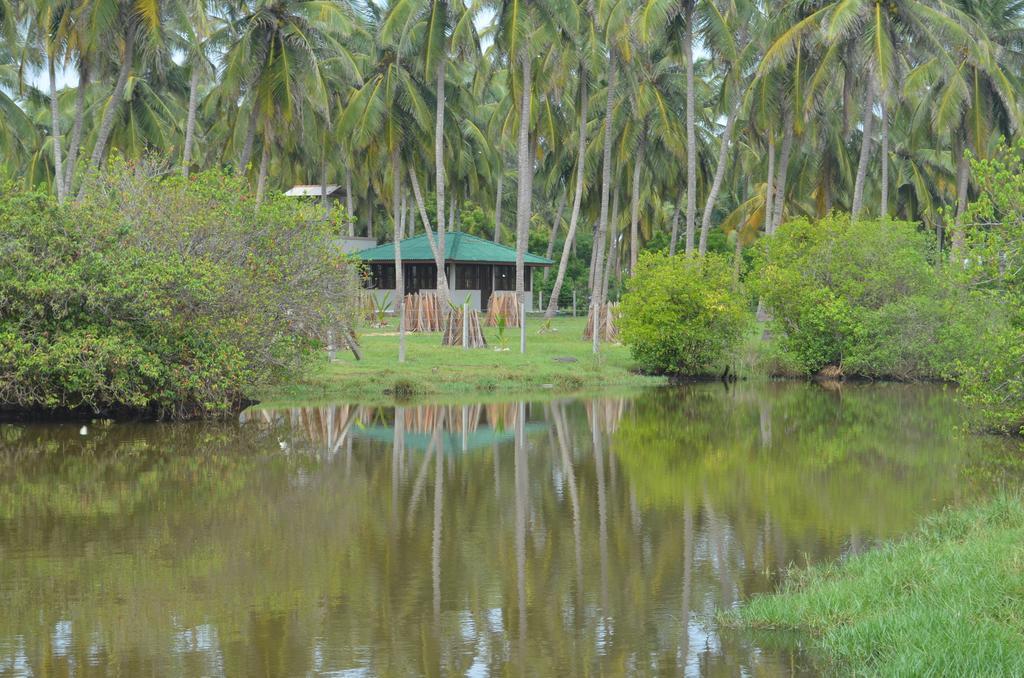 Aqua Front Yala Resort Kirinda  Exterior photo